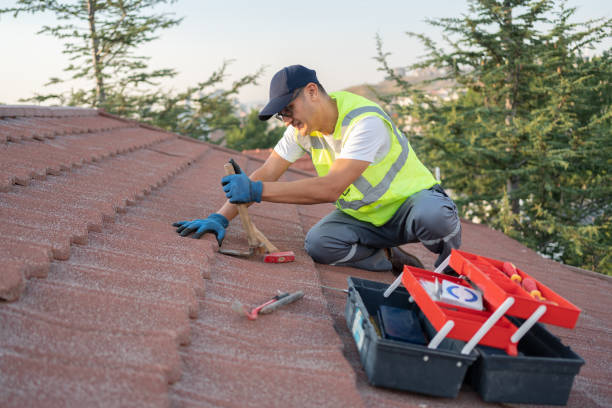 Roof Gutter Cleaning in Dunlap, OH